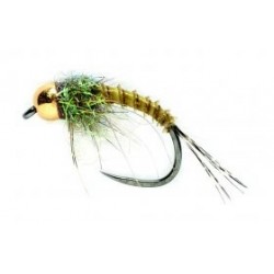 Tungsten Nymphs Biot Nymph $3.00