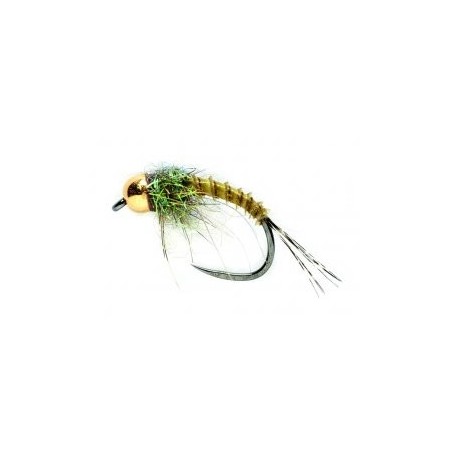 Tungsten Nymphs Biot Nymph $3.00