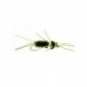 Tungsten Nymphs double tungsten the turd olive $3.00
