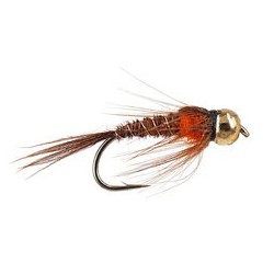 Tungsten Nymphs Pheasant Tail Orange TG $3.00