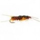 Beaded Nymphs Giant Orange Stonefly $2.50
