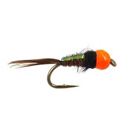 Tungsten Nymphs tg tinsel pheasant hot orange nymph $3.00