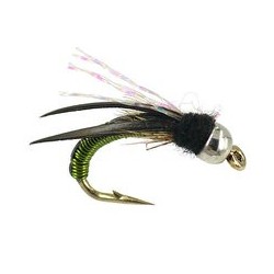 Tungsten Nymphs tg wired caddis olive $3.00