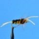 Tungsten Nymphs Tungsten Bead Head Bitch Creek  Yellow Black $3.00