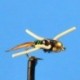 Tungsten Nymphs Tungsten Bead Head Copper John $3.00