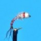Tungsten Nymphs Tungsten Bead Head Rainbow Warrior $3.00