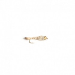 Beaded Nymphs Heraeyra pupa $2.50