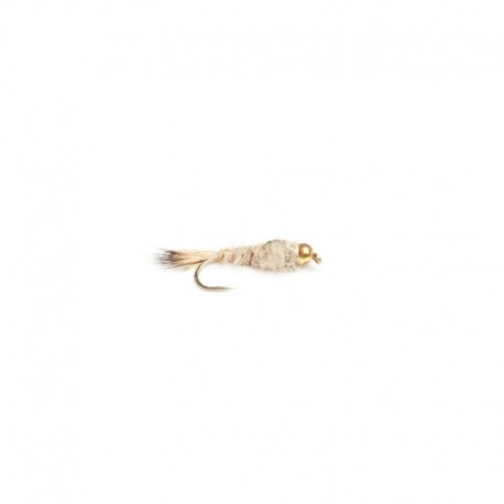 Beaded Nymphs Heraeyra pupa $2.50
