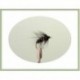 Wets bibio wet fly $2.34