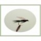 Wets black gnat wet fly $2.34