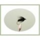 Wets black peacock spider $2.34