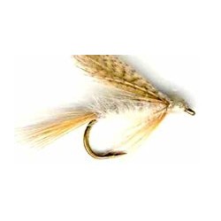 Wets light cahill wet button $2.34