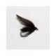 Wets alder wet $2.50