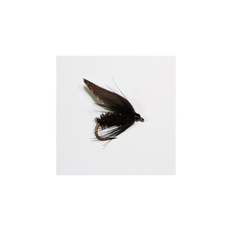 Wets alder wet $2.50