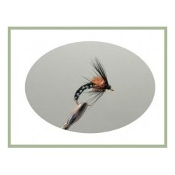 Wets Duck Fly Hackled $2.50