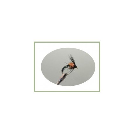 Wets Duck Fly Hackled $2.50