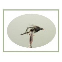 Wets Peacock Hawthorn Wet $2.50