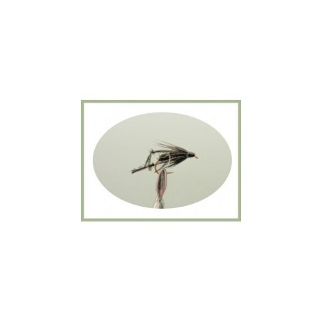 Wets Peacock Hawthorn Wet $2.50