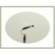 Wets Insect Green $2.50