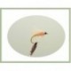 Wets Grenadier Wet Fly $2.50