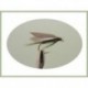Wets Medium Olive Wet $2.50