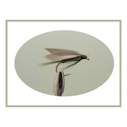 Wets Medium Olive Wet $2.50