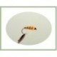Wets Toms Choice Wet Fly $2.50