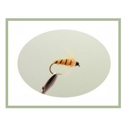 Wets Toms Choice Wet Fly $2.50