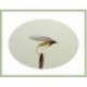 Wets Greenwell Glory Winged Wet $2.34
