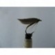 Wets olive gold butt winged spider $2.50