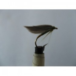 Wets olive gold butt winged spider $2.50