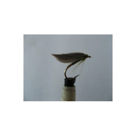 Wets olive gold butt winged spider $2.50