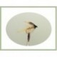 Wets Invicta Wet Fly $2.34