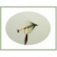 Wets Olive Bumble $2.34
