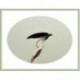 Wets Magpie and Silver $2.34