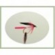 Wets Bloody Butcher Wet Fly $2.34