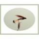 Wets Mallard and Claret Wet Fly $2.34