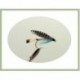 Wets Teal Blue and Silver Wet Fly $2.34