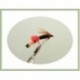 Wets Ke He Wet Fly $2.34