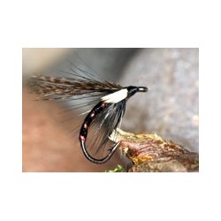 Wets IrishCormorantR B $2.34