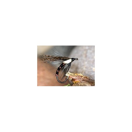 Wets IrishCormorantR B $2.34