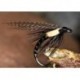 Wets IrishCormorantPearl $2.34