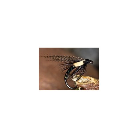 Wets IrishCormorantPearl $2.34
