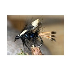 Wets Blue Jungle $2.34
