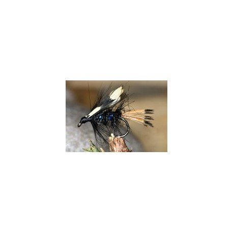 Wets Blue Jungle $2.34