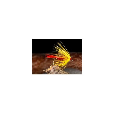 Wets HamelsShellbackSpider $2.34