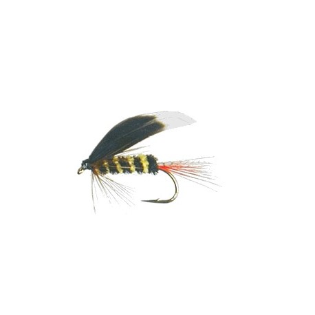Wets McGinty Bee.gif $2.34