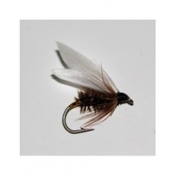 Wets coachman wet $2.34