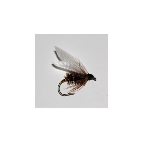 Wets coachman wet $2.34