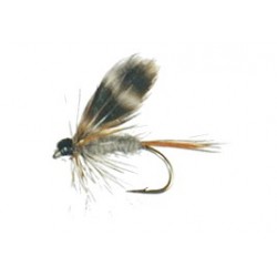 Wets Adams wet fly.gif $2.34